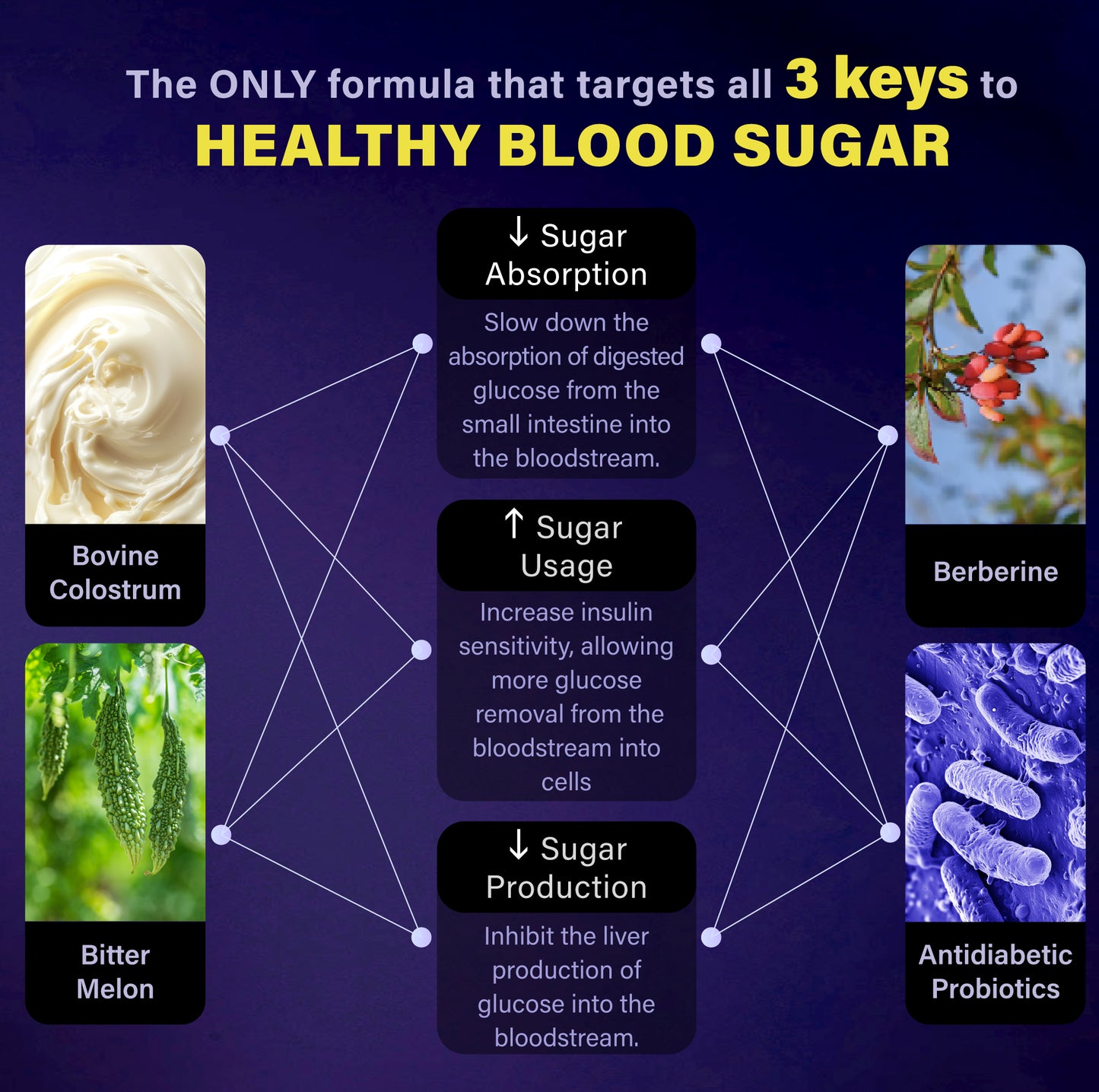 GlucoLow - Blood Sugar Support