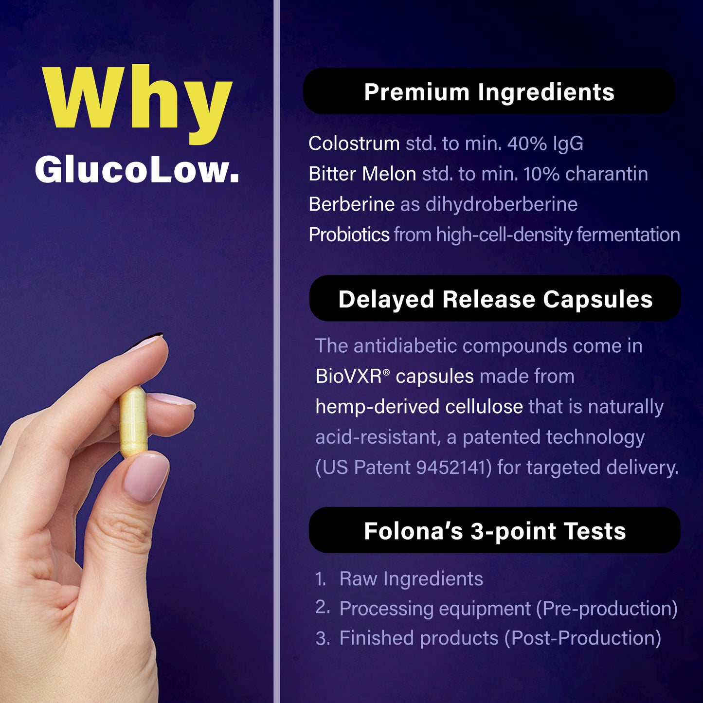 GlucoLow - Blood Sugar Support