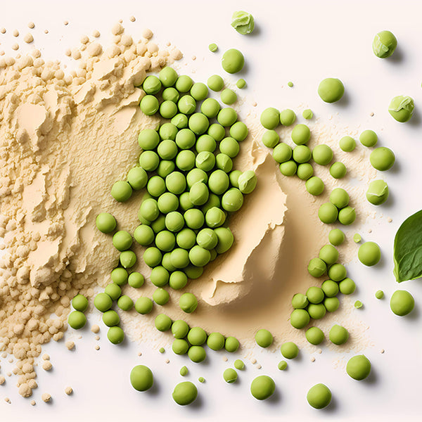 Anti-Nutrients in Pea Protein Powder?