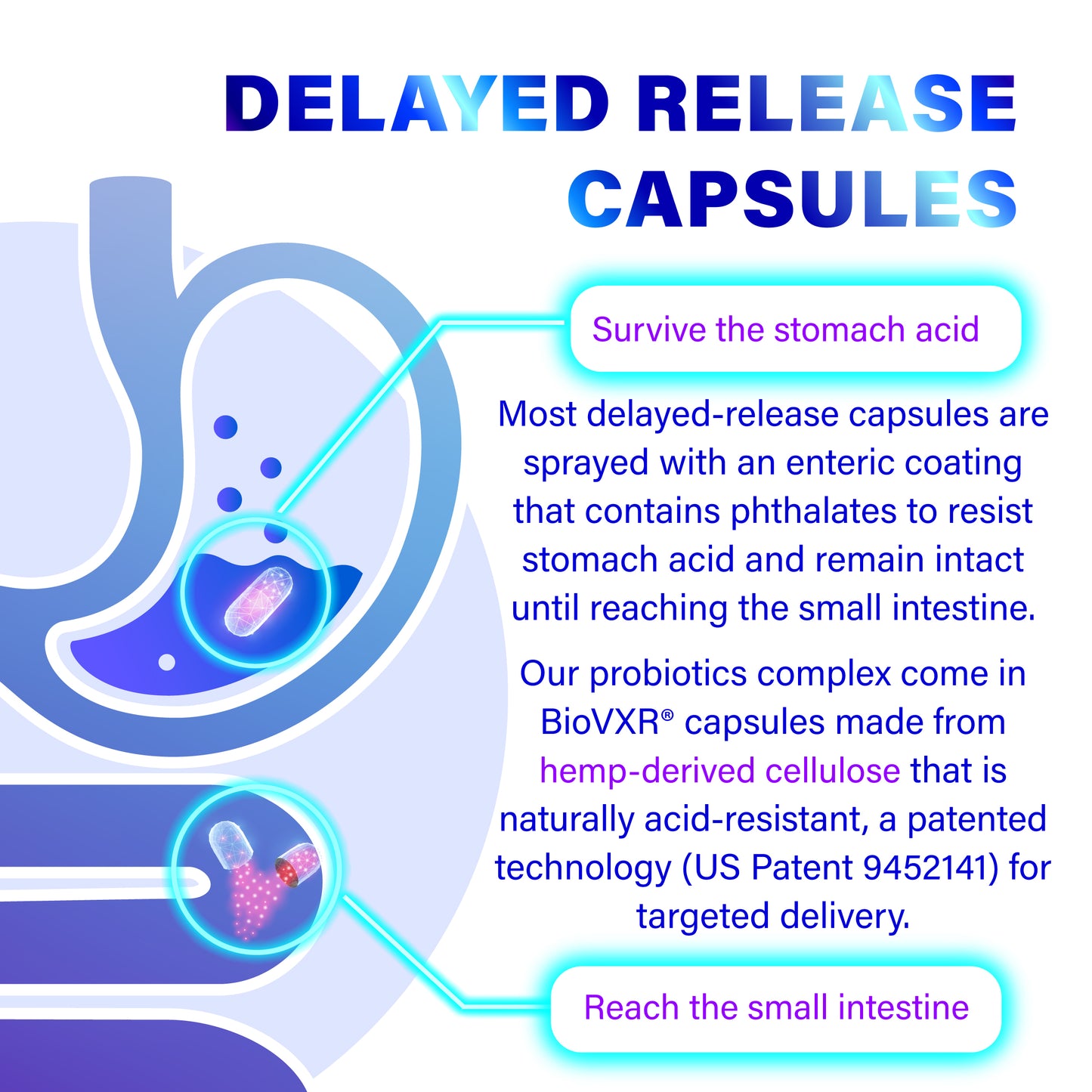 Colostrum + Collagen with Berberine and Probiotics