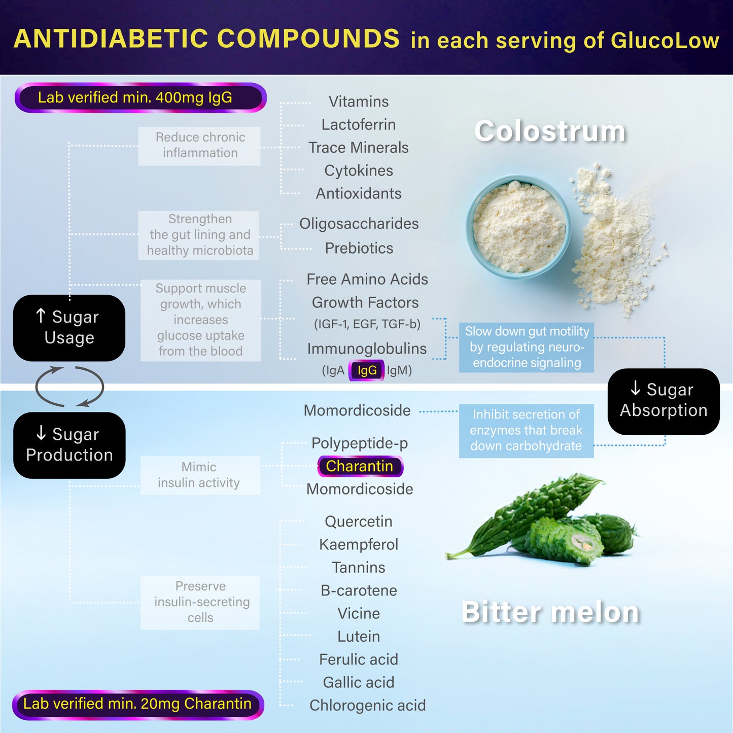 GlucoLow - Blood Sugar Support