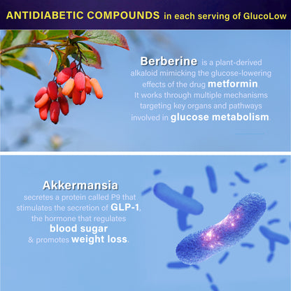 GlucoLow - Blood Sugar Support
